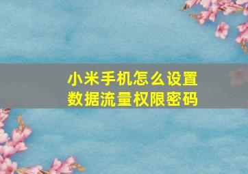 小米手机怎么设置数据流量权限密码