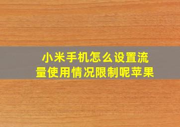 小米手机怎么设置流量使用情况限制呢苹果