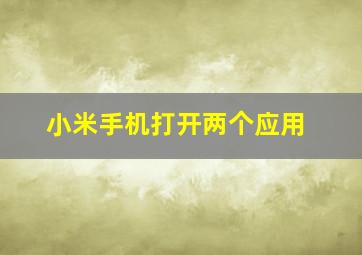 小米手机打开两个应用