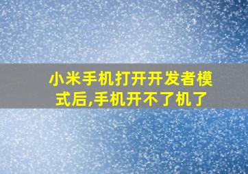 小米手机打开开发者模式后,手机开不了机了