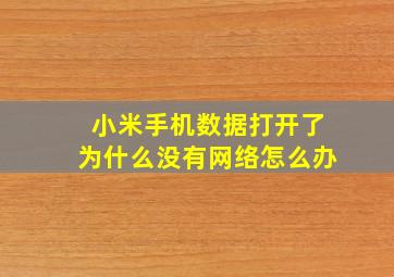 小米手机数据打开了为什么没有网络怎么办