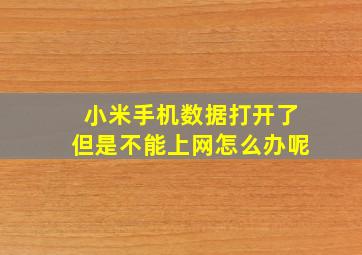 小米手机数据打开了但是不能上网怎么办呢