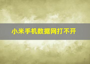 小米手机数据网打不开