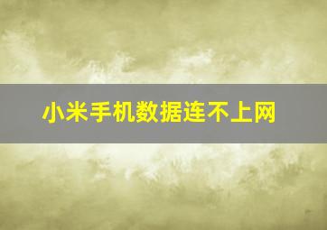 小米手机数据连不上网