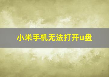 小米手机无法打开u盘