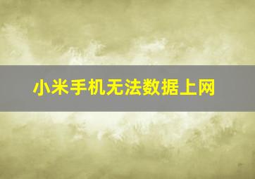 小米手机无法数据上网