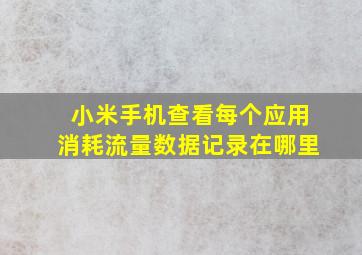 小米手机查看每个应用消耗流量数据记录在哪里