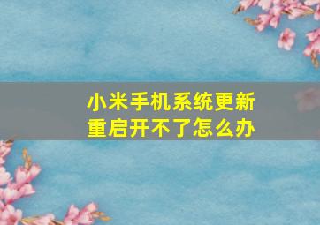 小米手机系统更新重启开不了怎么办