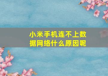 小米手机连不上数据网络什么原因呢