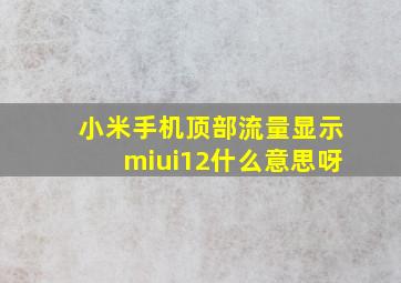 小米手机顶部流量显示miui12什么意思呀