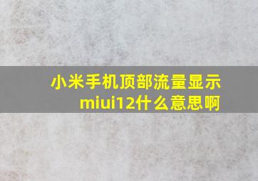 小米手机顶部流量显示miui12什么意思啊