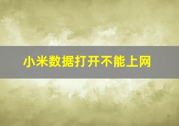 小米数据打开不能上网