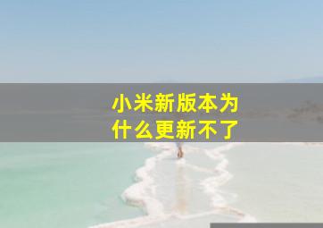 小米新版本为什么更新不了