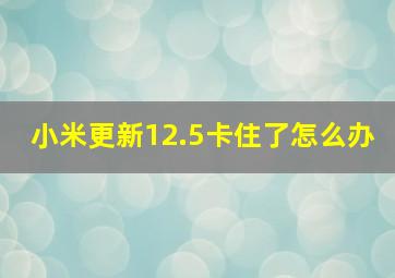 小米更新12.5卡住了怎么办