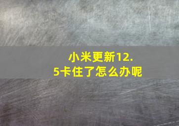 小米更新12.5卡住了怎么办呢