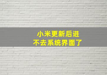 小米更新后进不去系统界面了