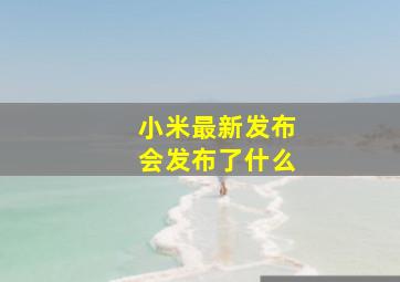 小米最新发布会发布了什么