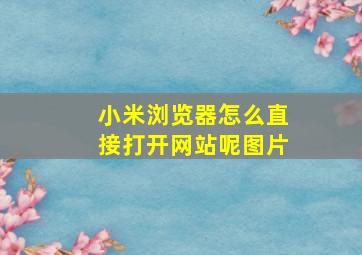 小米浏览器怎么直接打开网站呢图片