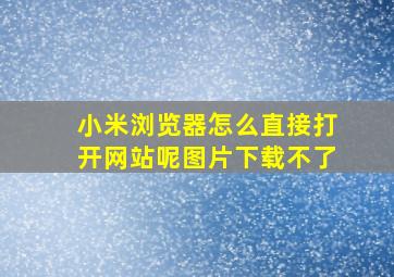 小米浏览器怎么直接打开网站呢图片下载不了