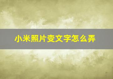 小米照片变文字怎么弄