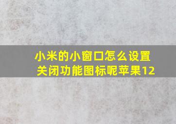 小米的小窗口怎么设置关闭功能图标呢苹果12