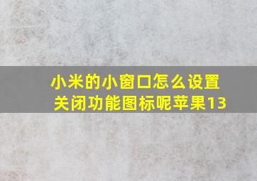 小米的小窗口怎么设置关闭功能图标呢苹果13