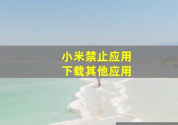 小米禁止应用下载其他应用