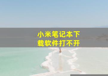 小米笔记本下载软件打不开