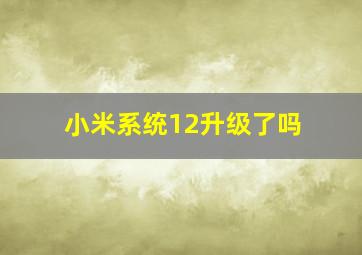 小米系统12升级了吗