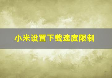 小米设置下载速度限制