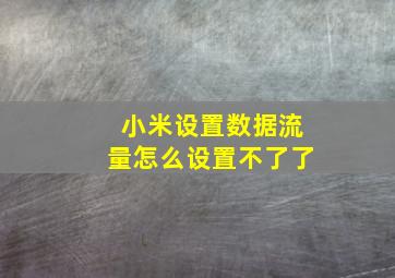 小米设置数据流量怎么设置不了了