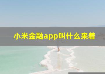 小米金融app叫什么来着