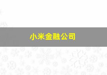 小米金融公司