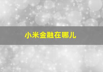 小米金融在哪儿