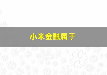 小米金融属于