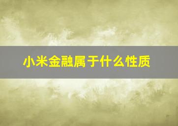 小米金融属于什么性质