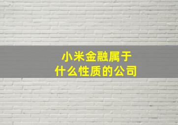 小米金融属于什么性质的公司