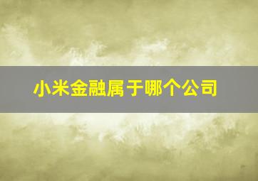 小米金融属于哪个公司