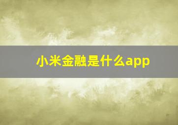 小米金融是什么app