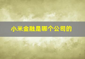 小米金融是哪个公司的