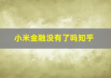 小米金融没有了吗知乎