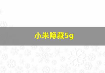 小米隐藏5g