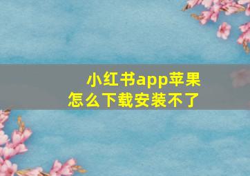 小红书app苹果怎么下载安装不了