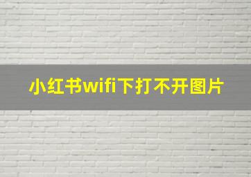 小红书wifi下打不开图片