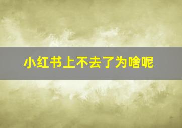 小红书上不去了为啥呢