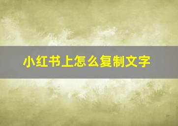 小红书上怎么复制文字