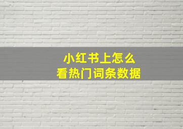 小红书上怎么看热门词条数据