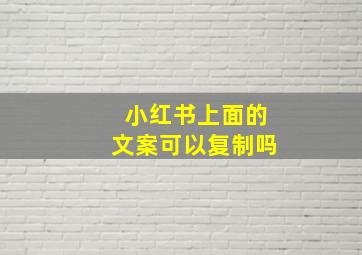 小红书上面的文案可以复制吗