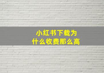 小红书下载为什么收费那么高