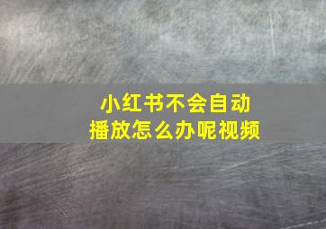 小红书不会自动播放怎么办呢视频